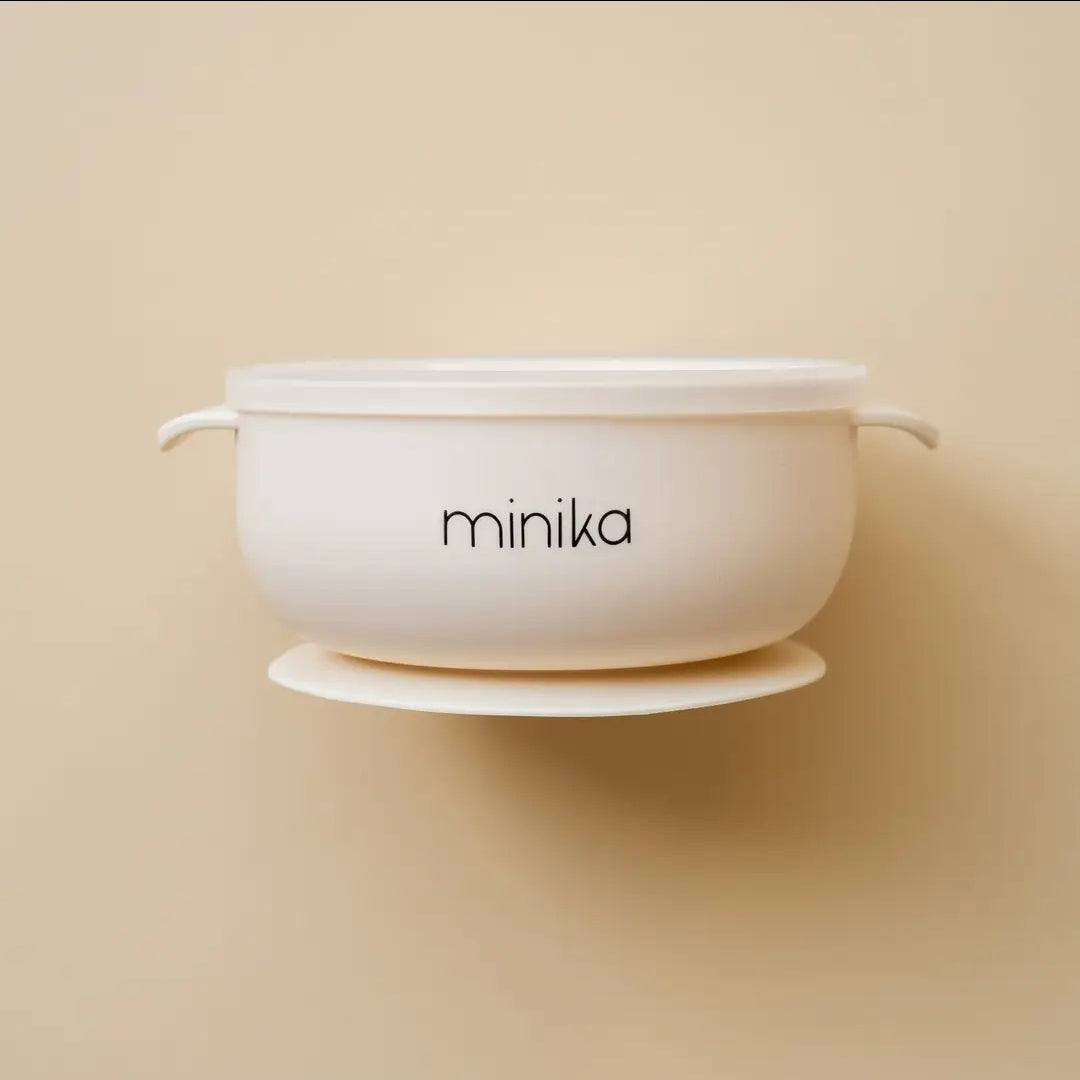 Silicone Bowl with lid