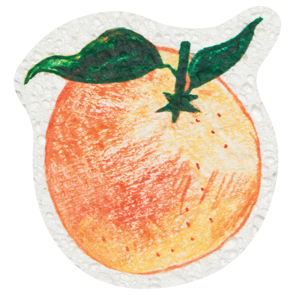 Compostable Kitchen Sponge
