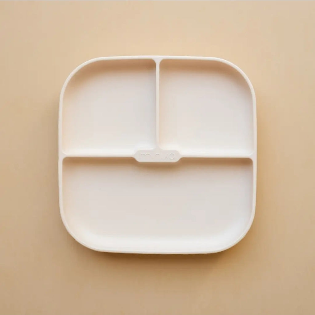 Silicone Plate