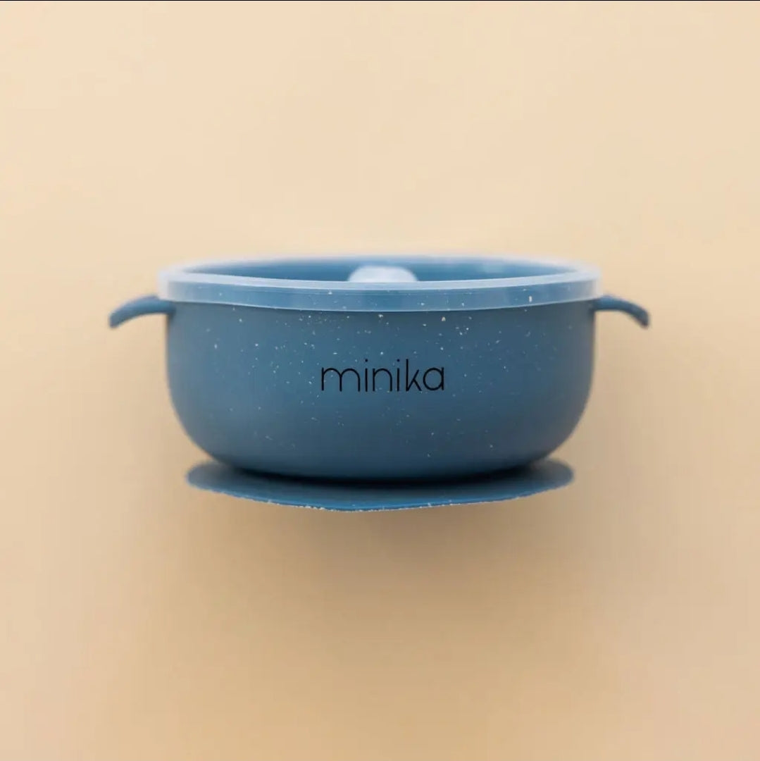 Silicone Bowl with lid