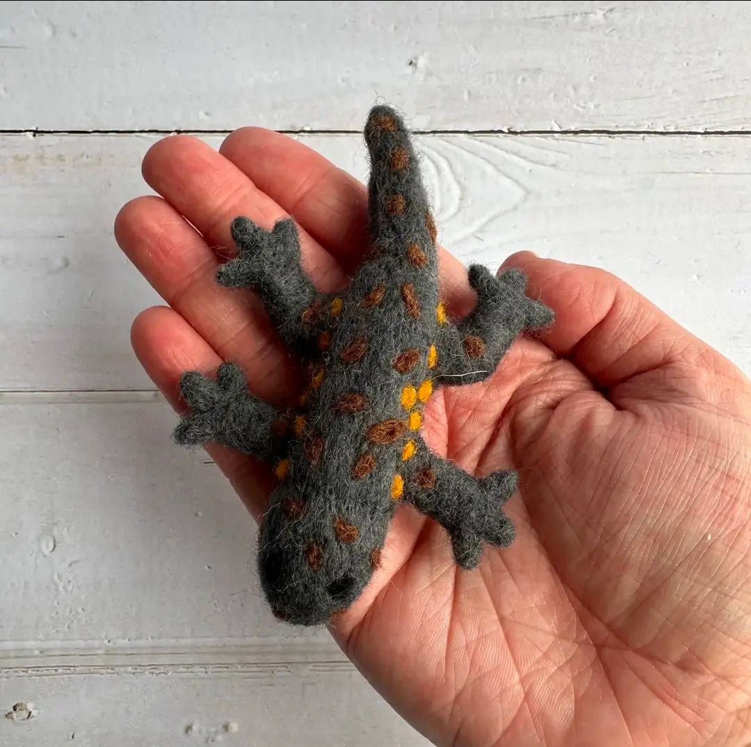 Felt Salamander