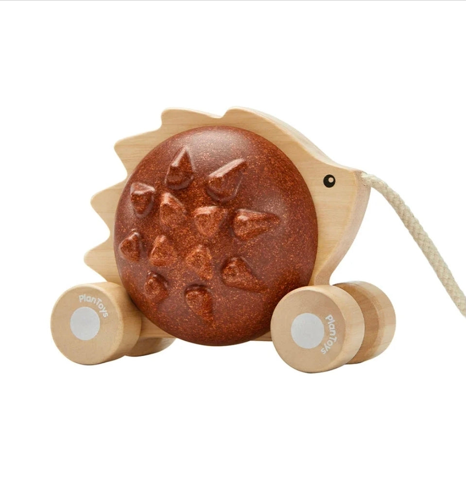 Pull-Along Hedgehog