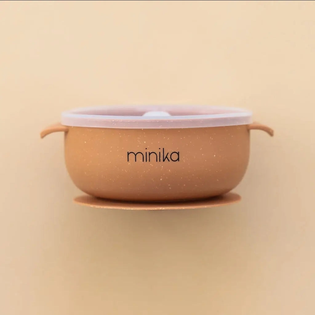 Silicone Bowl with lid