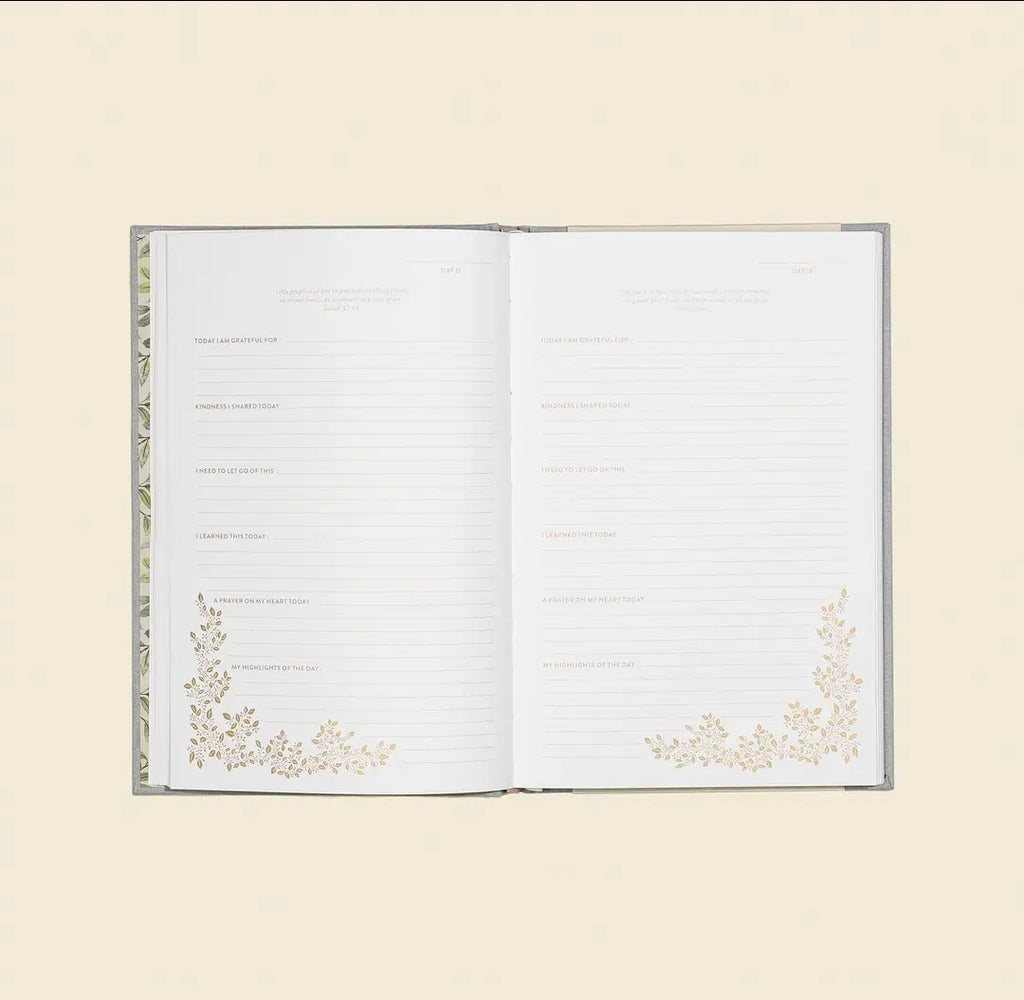 More Than Gratitude: A Christian Guided Journal