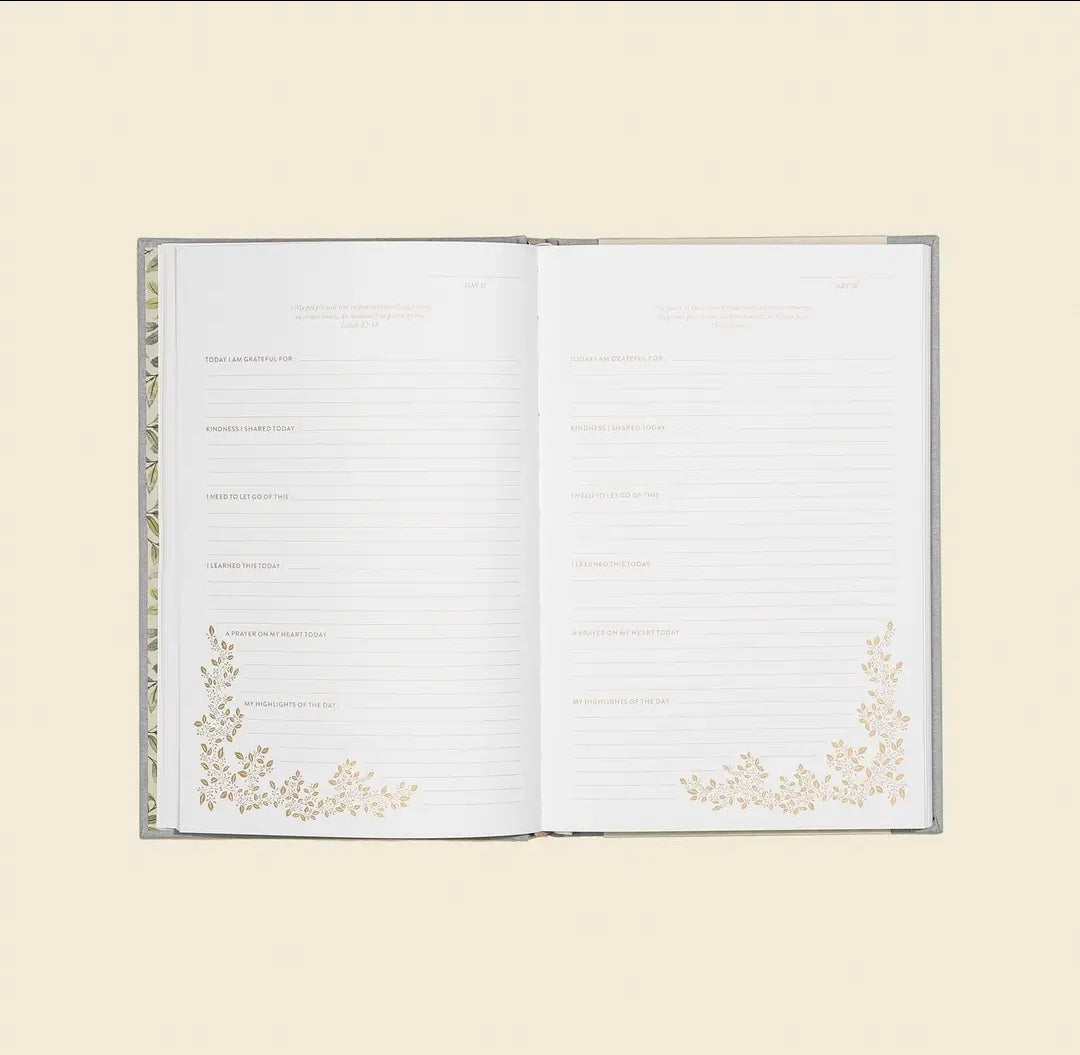 More Than Gratitude: A Christian Guided Journal
