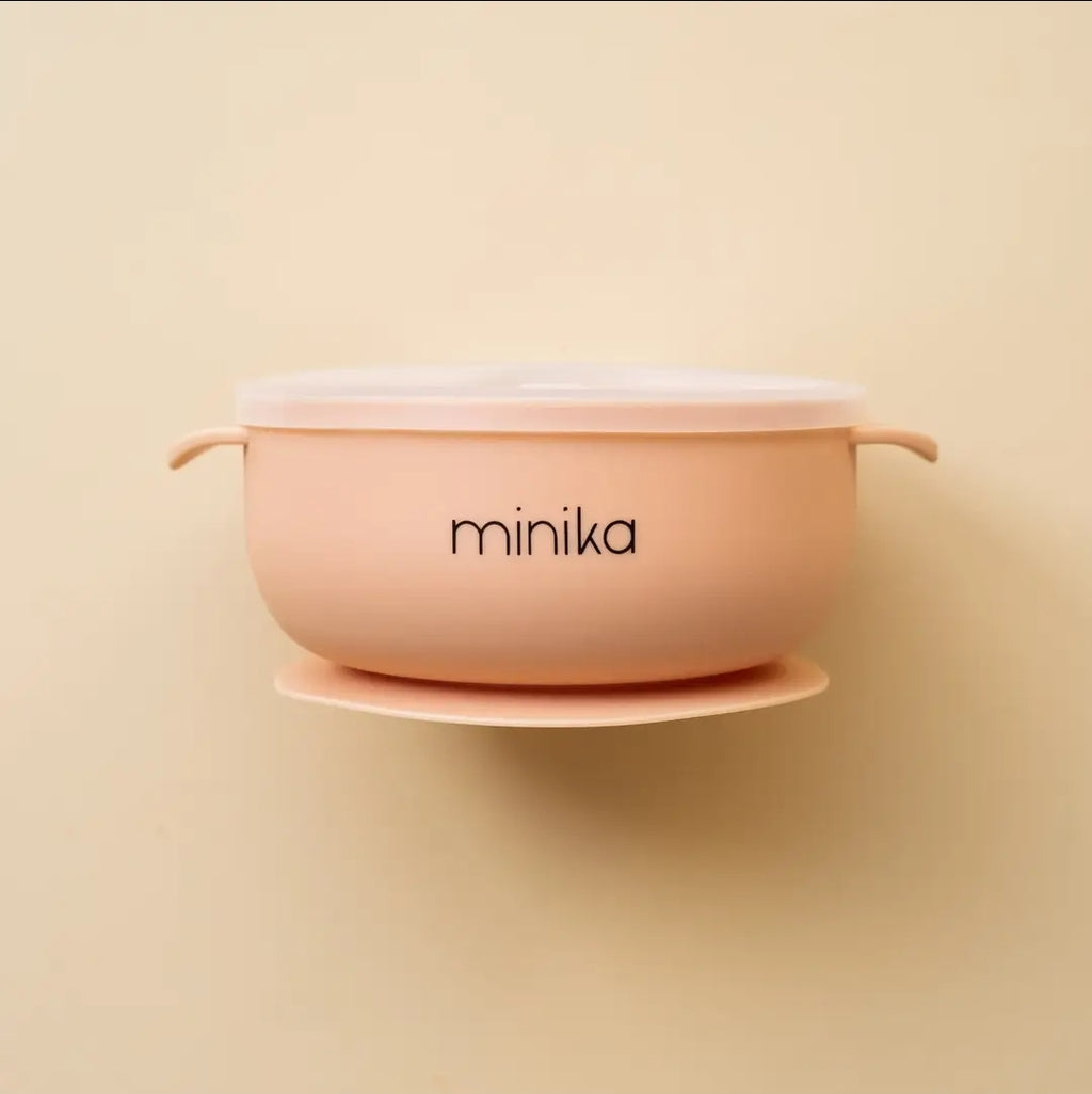 Silicone Bowl with lid
